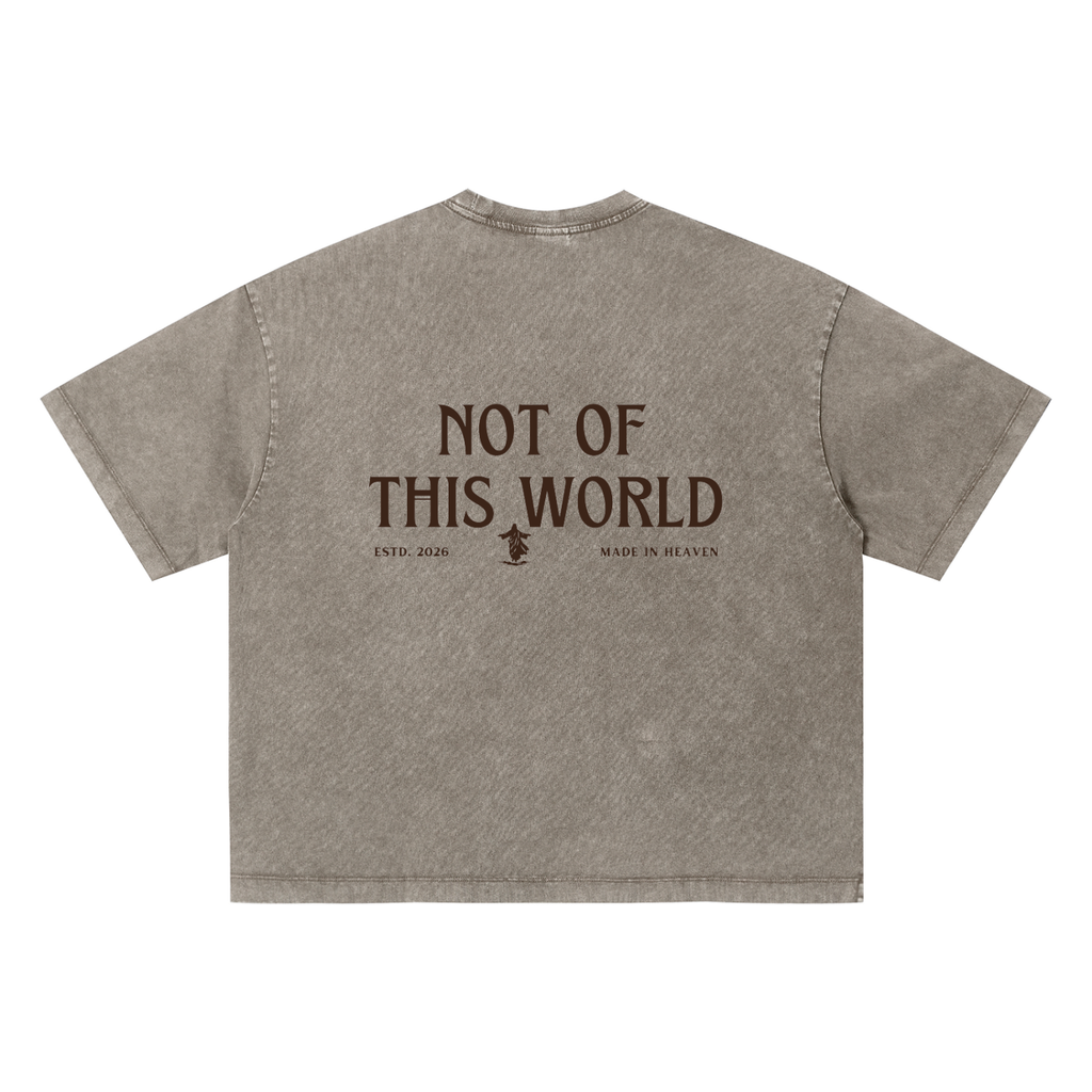 Unisex Vintage Wash Boxy T-Shirt