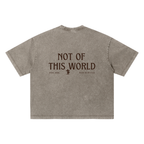 Unisex Vintage Wash Boxy T-Shirt