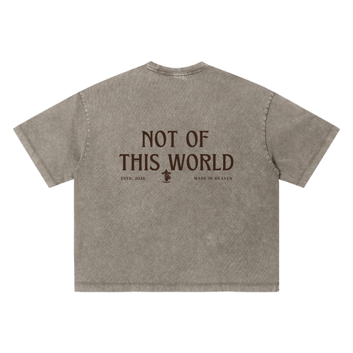 Unisex Vintage Wash Boxy T-Shirt